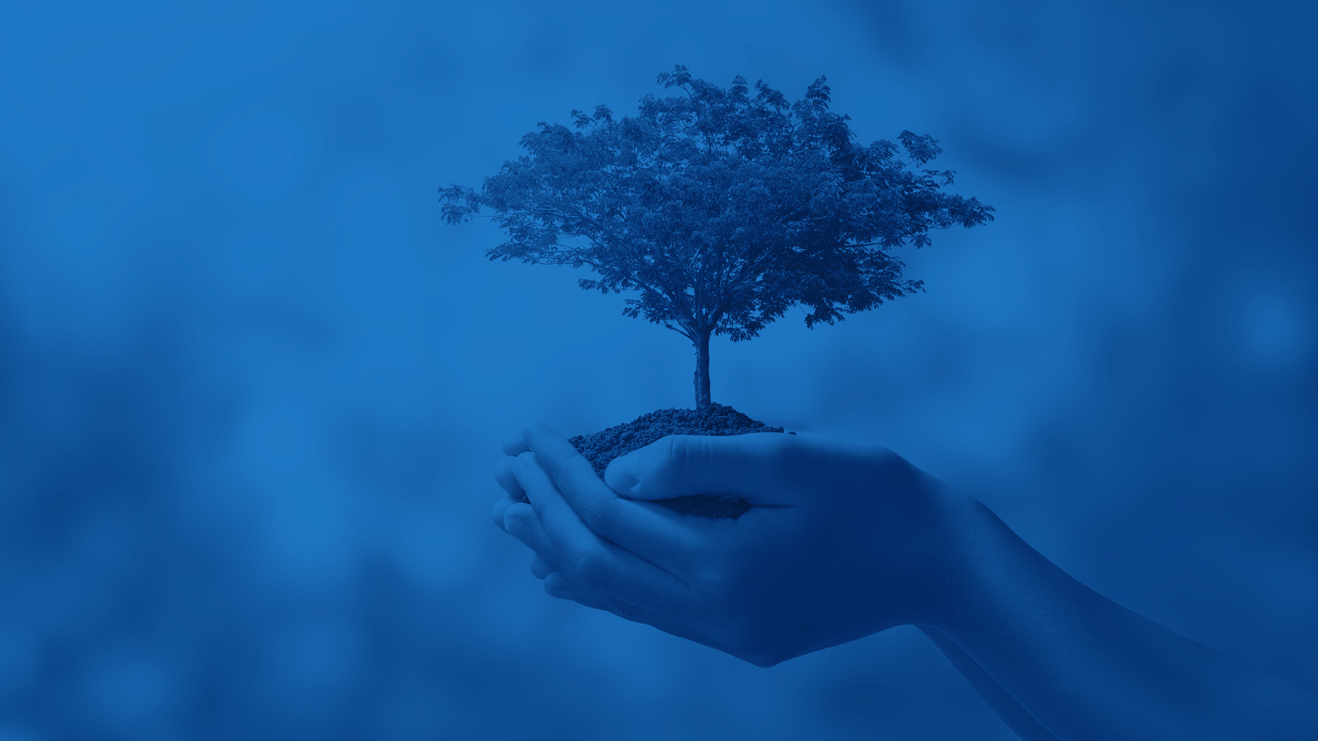 2026_03_02_BAPS_CS_Riforestiamo_Rosolini_Homepage