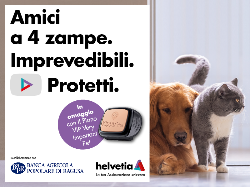 800×600 ATM SENZA QR