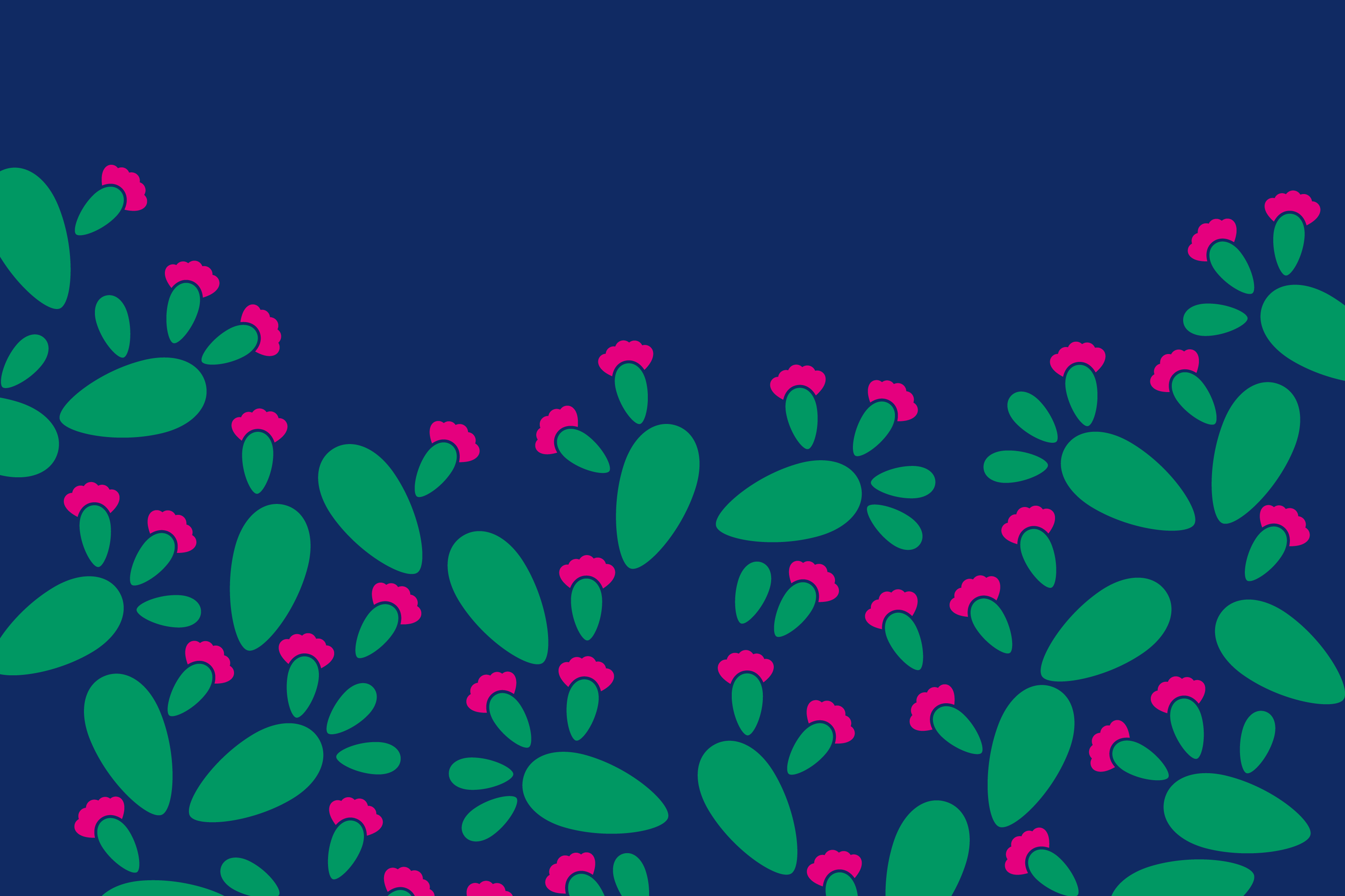 BAPS_PCM2025_BLU_BLU_B1