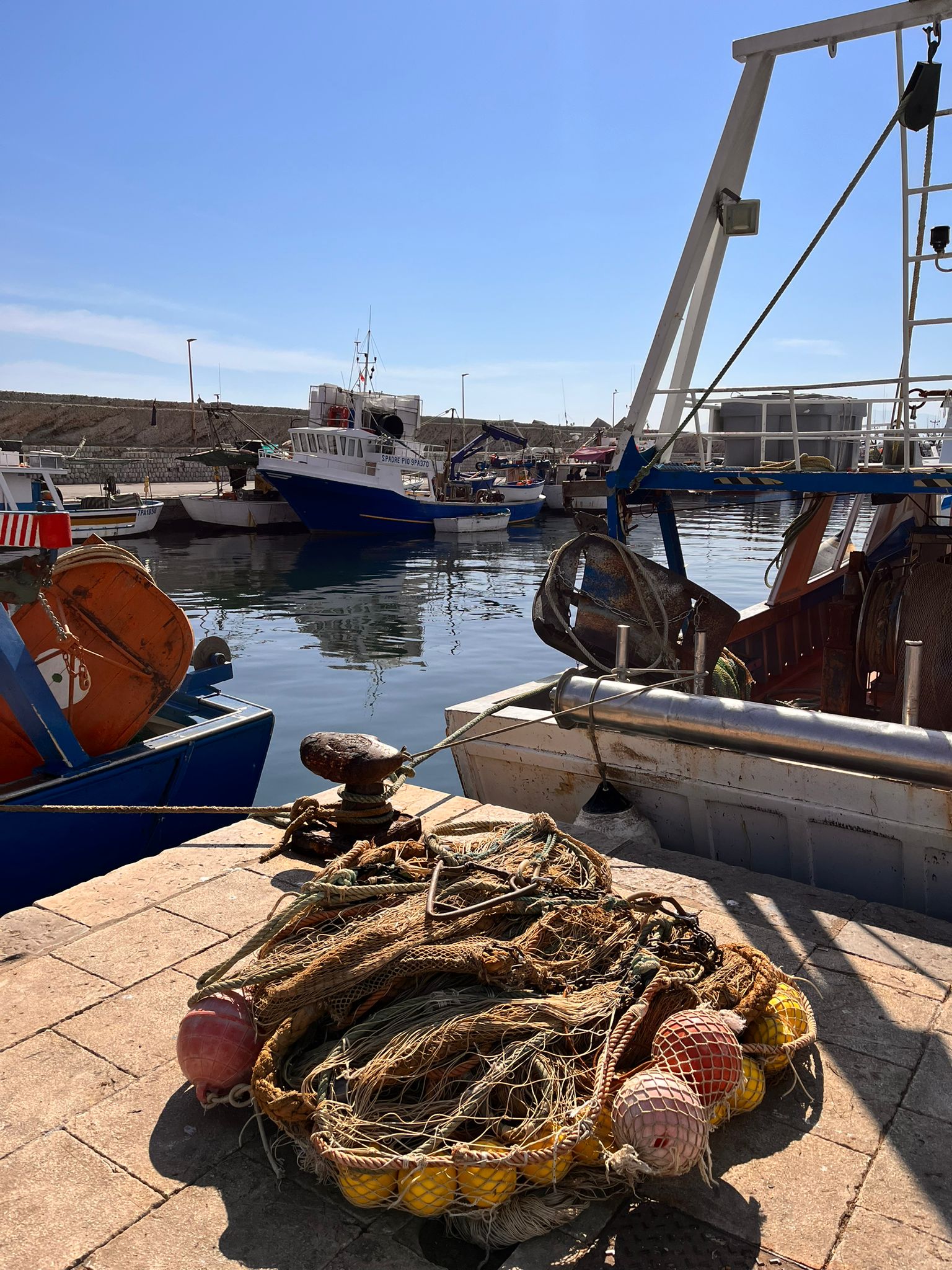Rete al porto